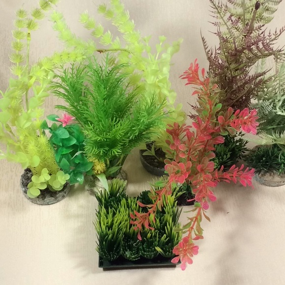Assortment of 8 Fish tank Plant Decorations - Picture 10 of 10